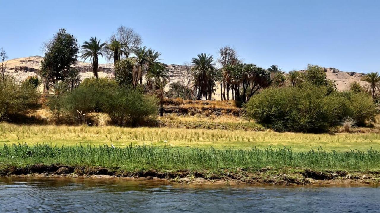 Habibi Nubian Guest House-Nubian Hospitality Асуан Экстерьер фото