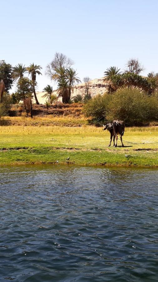 Habibi Nubian Guest House-Nubian Hospitality Асуан Экстерьер фото
