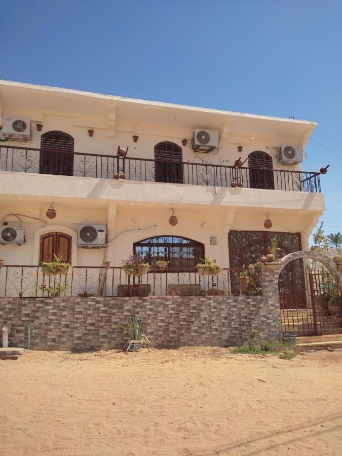 Habibi Nubian Guest House-Nubian Hospitality Асуан Экстерьер фото